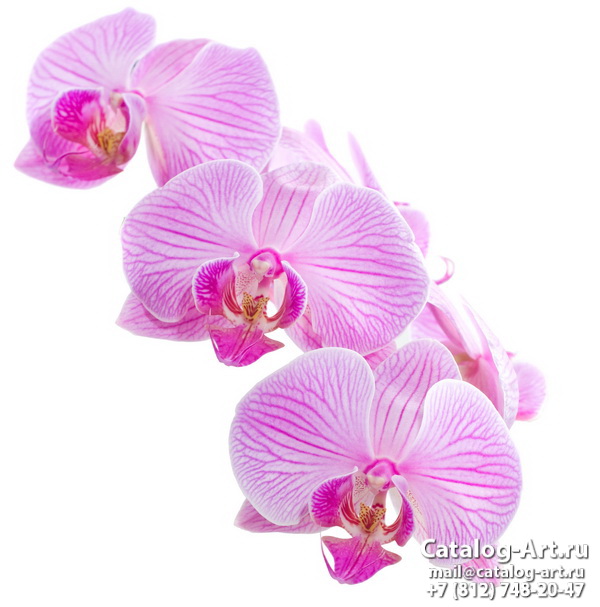 Натяжные потолки с фотопечатью - Розовые орхидеи 21